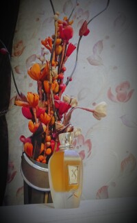 خوش استایل و با اصالت... ناکسوس