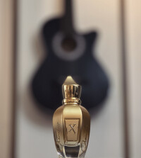 لیمو در بستر قهوه 🧡☕️