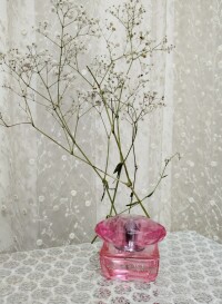 Blossom.-.Love