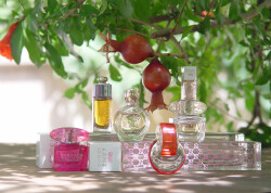 بهشت , قسمت دوم : انار