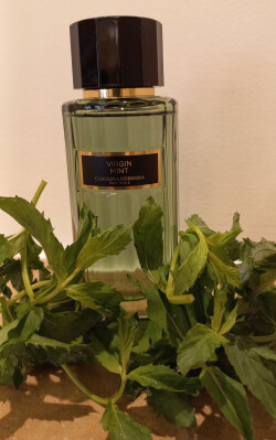 میکس خنک همیشگی