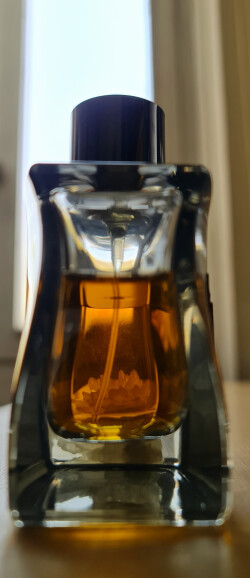 پانوژ جان سند استورم