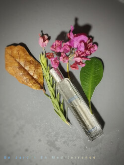 Un Jardin En Mediterranee