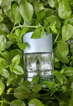 ترم تابستانی...