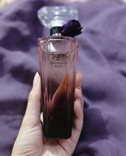 میدنایت رز، نیمه شبی تاریک و اغواگر