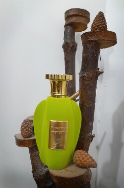 امیر ووکس زینگی