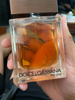 Dolce and gabbana discount the one for men