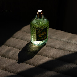 رُز در جنگل... دم دستیِ تابستان امسال