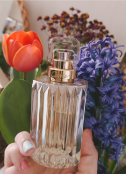 بوی عید نوروز 