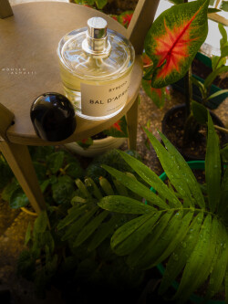 روزهای بهار و شب های تابستان امسال من 