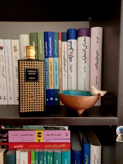توبروز ابسولو، باخ و دیگر هیچ