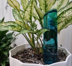 𝗞𝗘𝗡𝗭𝗢 𝗠𝗮𝗿𝗶𝗻𝗲