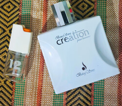 باگ سانز کریشن