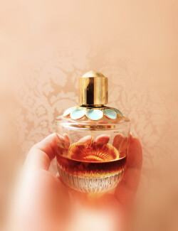 یک پیش نهاد خوب برای روزهای سرد