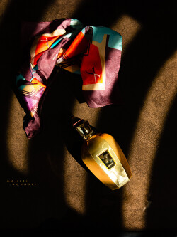 در جستجوی بهار...