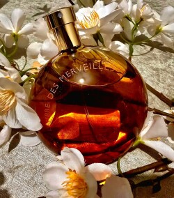 L’Ambre des Merveilles