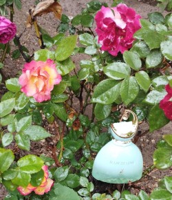 عطر عشق در طبیعت