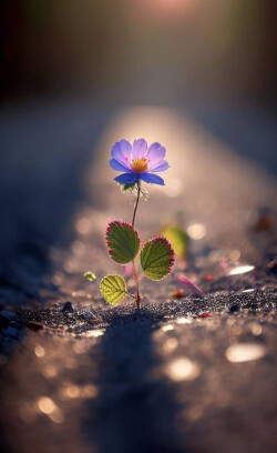 ارزش ایثار....