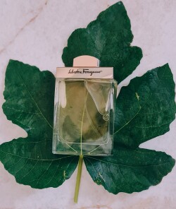 Salvatore Ferragamo pour Homme