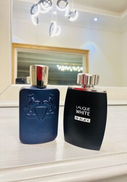 Layton VS white in black