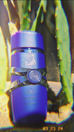 Asad Zanzibar Lattafa