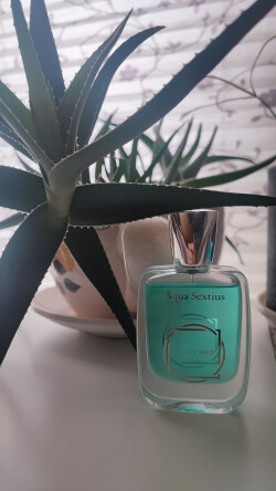 Jul et mad aqua sextius