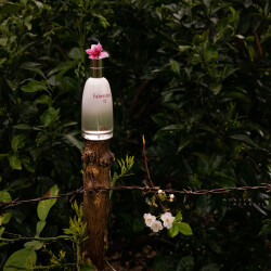 برای نوروزِ این سال...