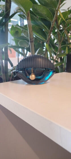 کنزو ورلد اینتنس