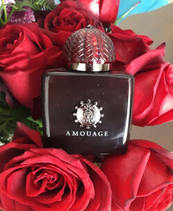 گل رز تاریک، دودی و زیبا