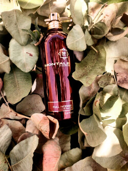 MONTALE# FULL INCENSE