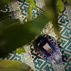 Xerjoff - More Than Words