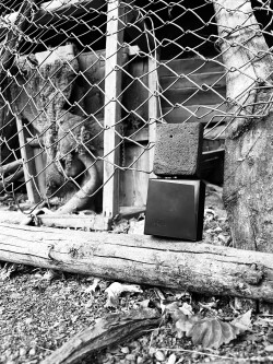 Opus 1144 Filippo Sorcinelli