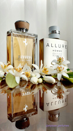 بهار و زندگی دوباره