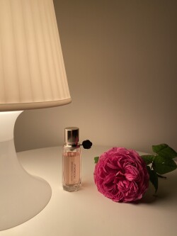 🌸 Flowerbomb 🌸