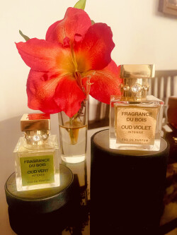 خانه عطر فراگرانس د بوآ (د بویس)