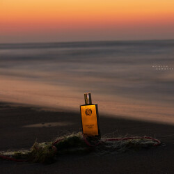 روی تور، لبِ ساحل!