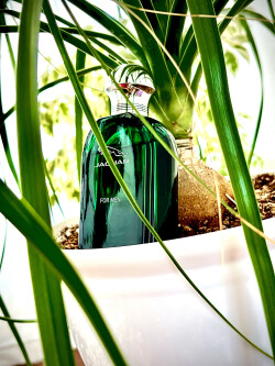 رنگِ روحِ زندگی