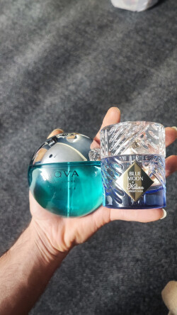 بلومون جینجر دش