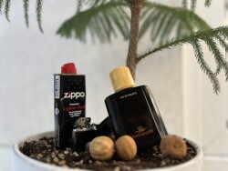 Zino