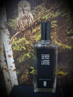 Serge lutens vetiver oriental