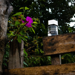 آخرین عطر امضا