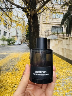 Eau D Ombre leather