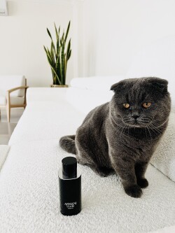 سلطان در کنار 😁💣armani code parfume