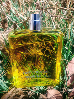 CoSTUME NATIONAL # FREE D HOMME