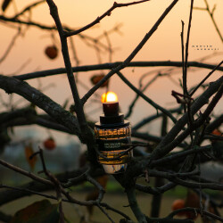 طلوع کن بر این شبِ سیاه و سرد...