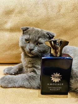 AMOUAGE Interlude