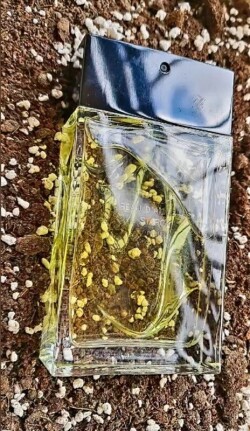 خاکی باشیم!