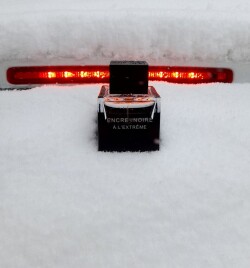 LALIQUE - Encre Noire A L'Extreme