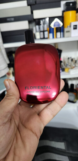 عشق ها از برند کوم د گارسون