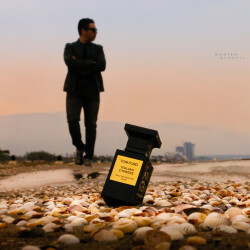 سَروِ ایتالیایی